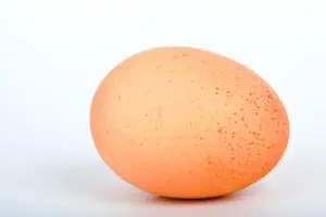 eierluege