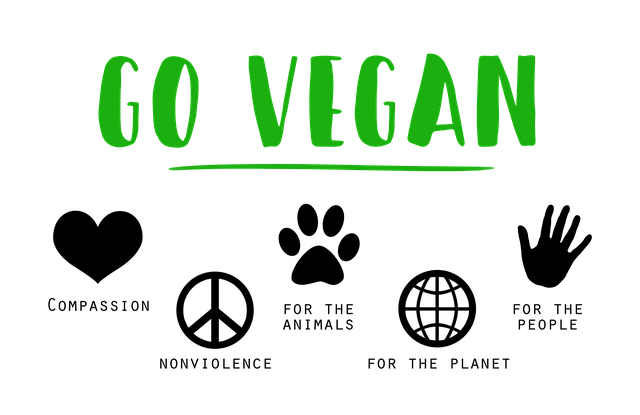 Auf welche Faktoren Sie vor dem Kauf von Vegan low carb diätplan Aufmerksamkeit richten sollten!